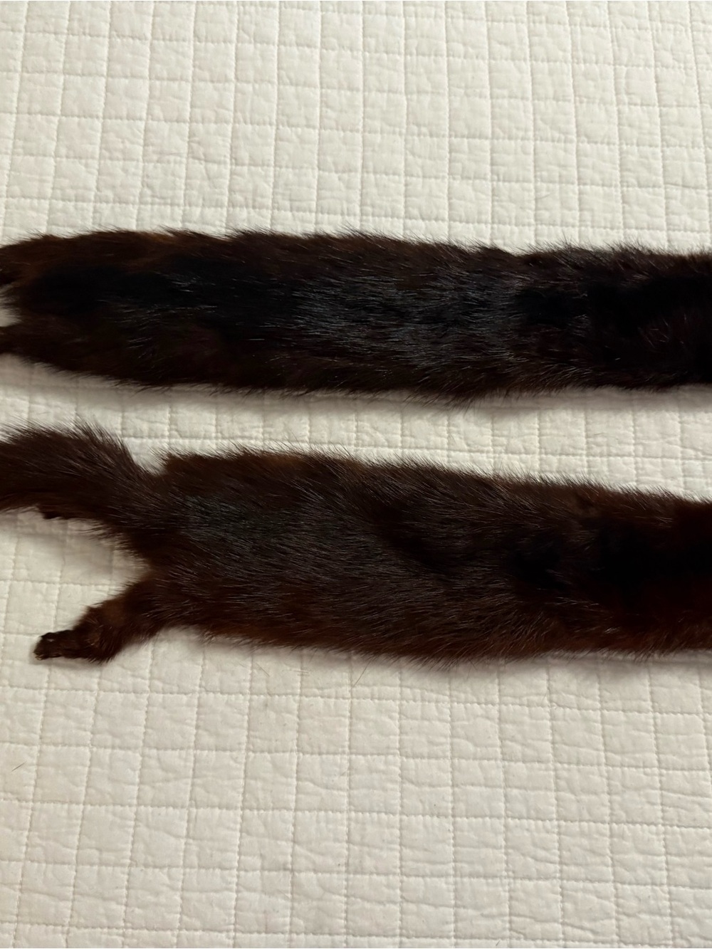 Dark Brown Fur Stole or Trim - Pair